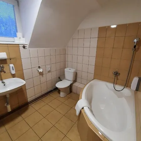 Borsicanka Havířov
