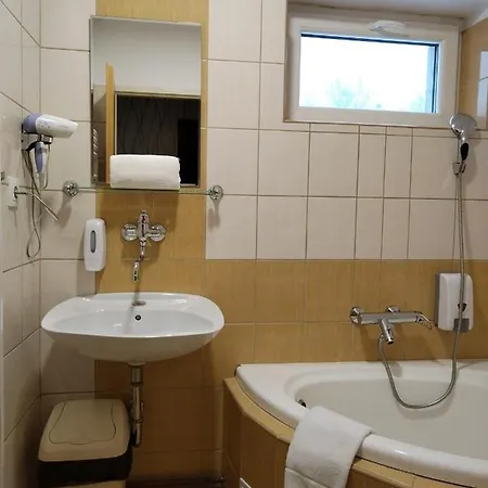 Borsicanka Hotell Havířov