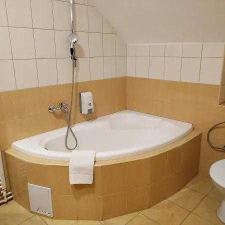 Borsicanka Hotell 3*
