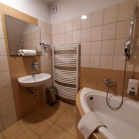 Borsicanka Hotell Havířov