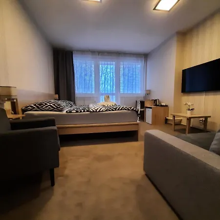 Borsicanka Hotel Havirov