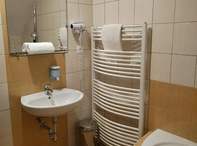 Otel Borsicanka 3*