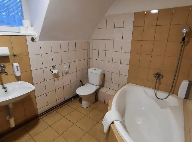 Borsicanka Havířov