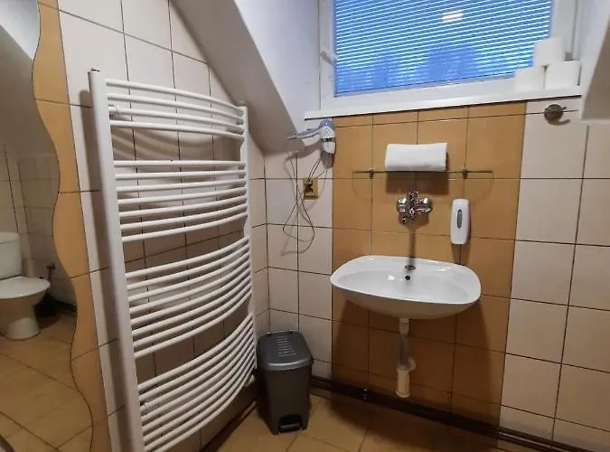 ホテル Borsicanka Havířov