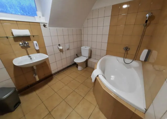 Borsicanka 3* Havířov