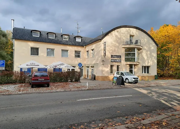Borsicanka Havířov